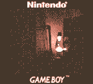Game Boy Camera photo