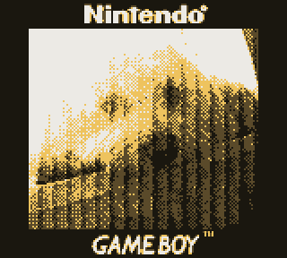 Game Boy Camera photo