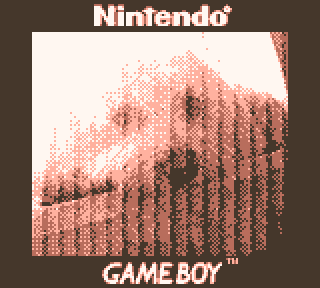 Game Boy Camera photo