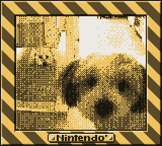 Game Boy Camera dog photo